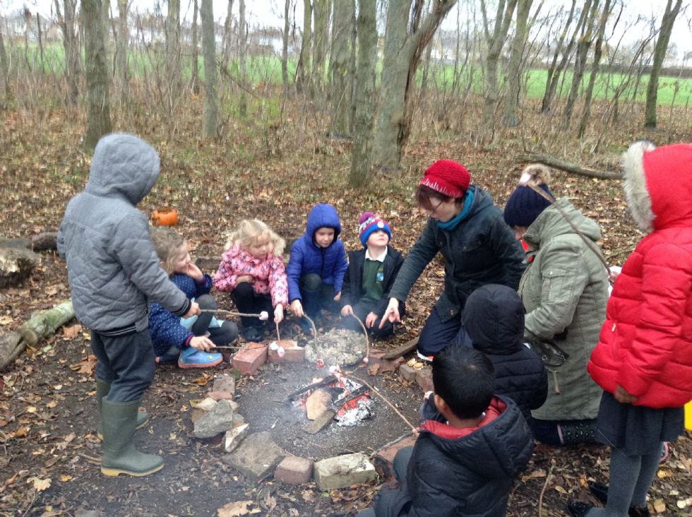 Woodlands Primary School Forest School